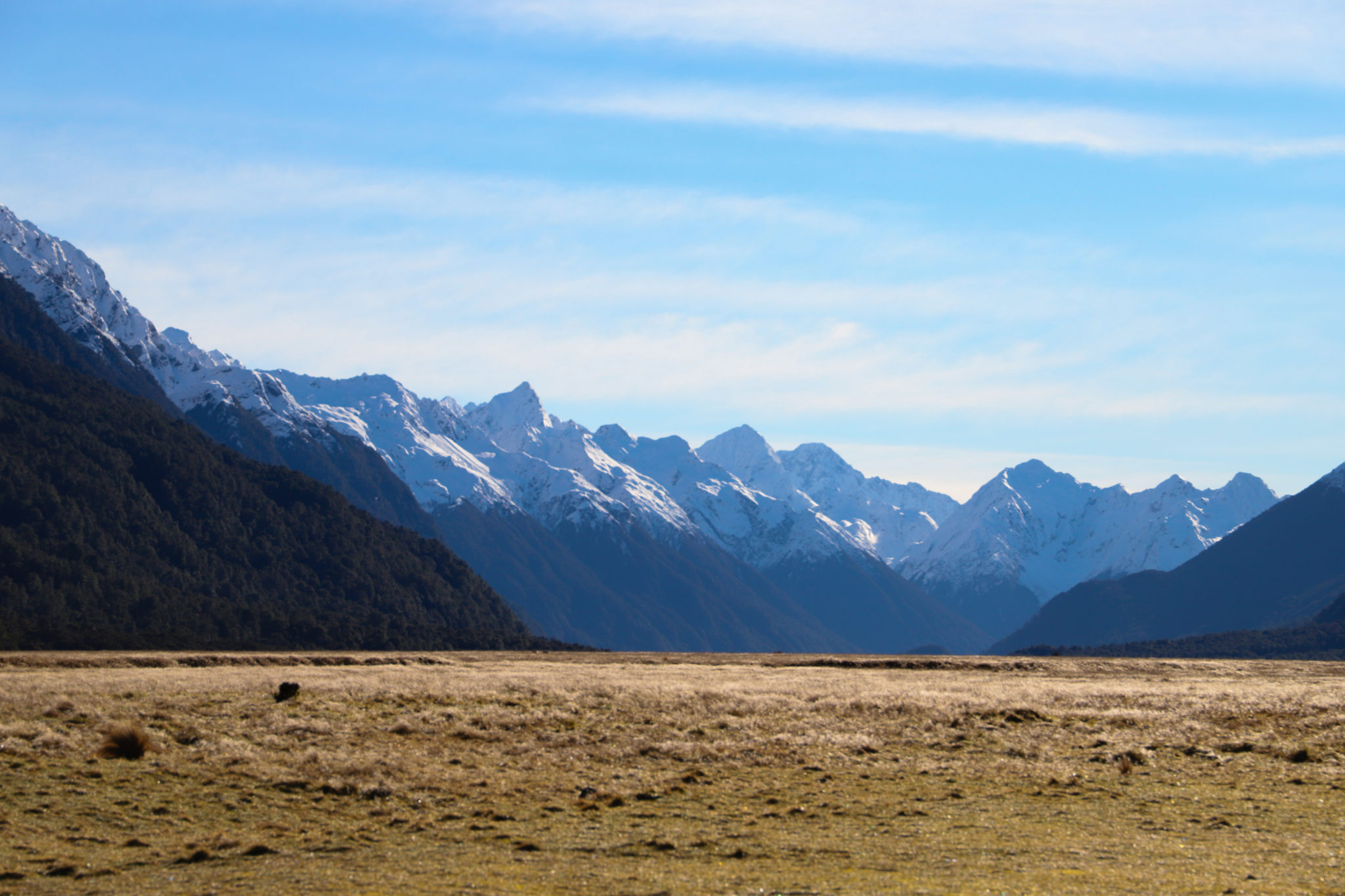 On the way to Milford Sound, New Zealand